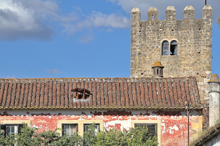 Quinta da Cardiga